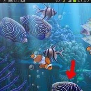 Meet your Posher, June